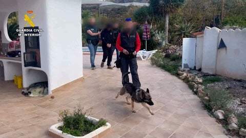 operaci&oacute;n antidroga en Callosa d'En Sarri&agrave;