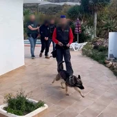 operación antidroga en Callosa d'En Sarrià operación antidroga en Callosa d'En Sarrià