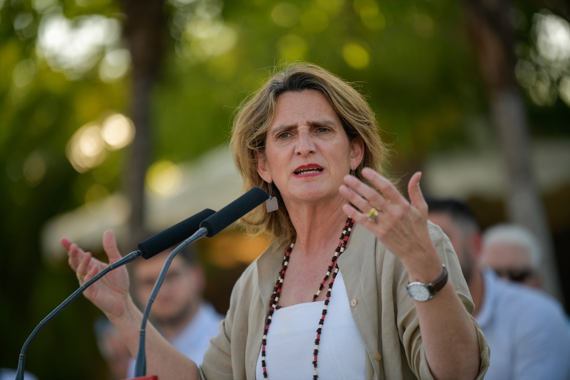 Teresa Ribera acusa a Feijóo de salir "de la parte mala del armario para pactar con la ultraderecha" Teresa Ribera acusa a Feijóo de salir "de la parte mala del armario para pactar con la ultraderecha"