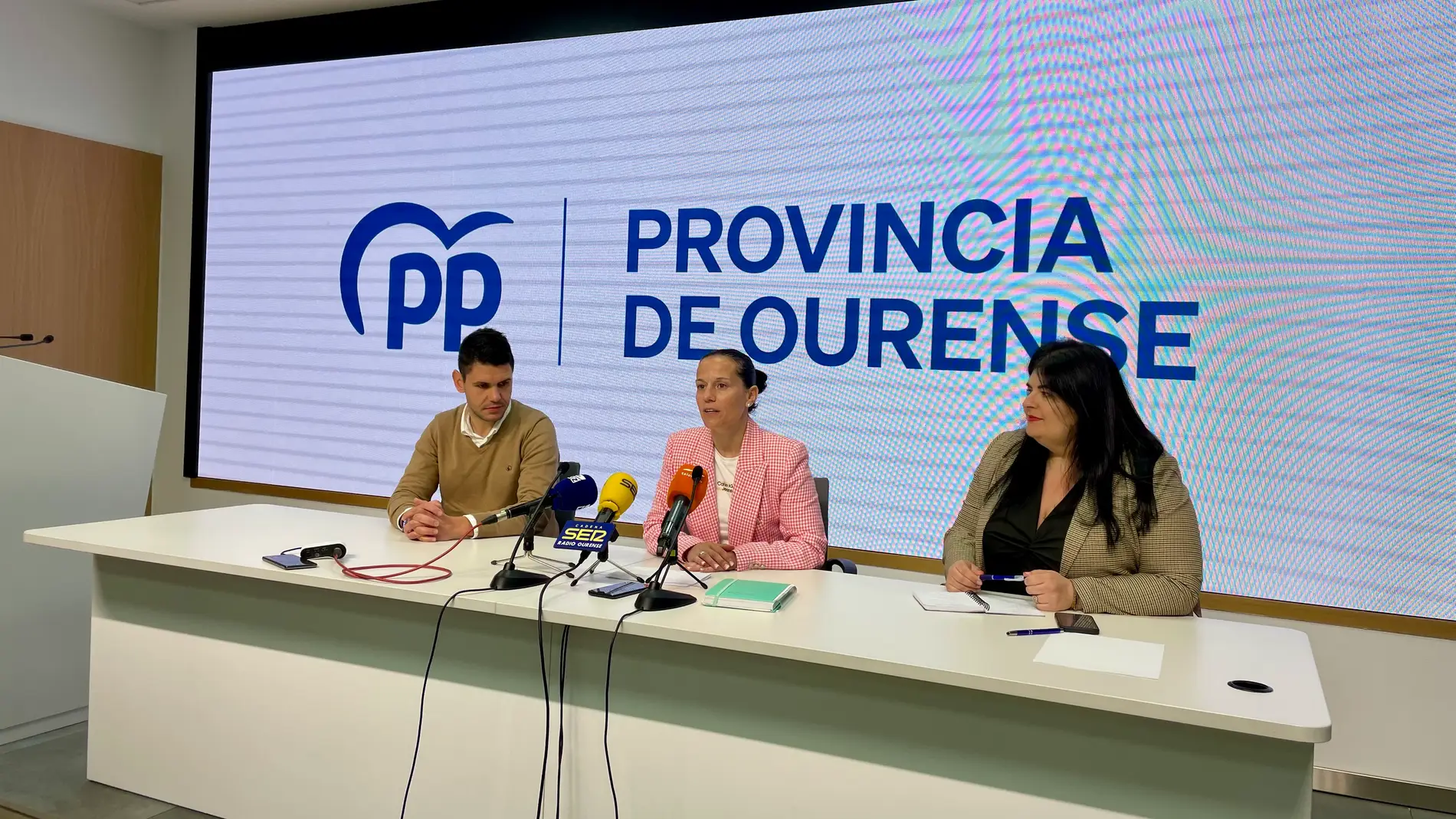 O PP esixirá ao Goberno de España que todos os fogares teñan conexión de fibra óptica 