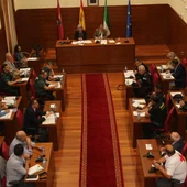 Imagen del pleno del Ayuntamiento de Chiclana durante la Junta Local de Seguridad Imagen del pleno del Ayuntamiento de Chiclana durante la Junta Local de Seguridad