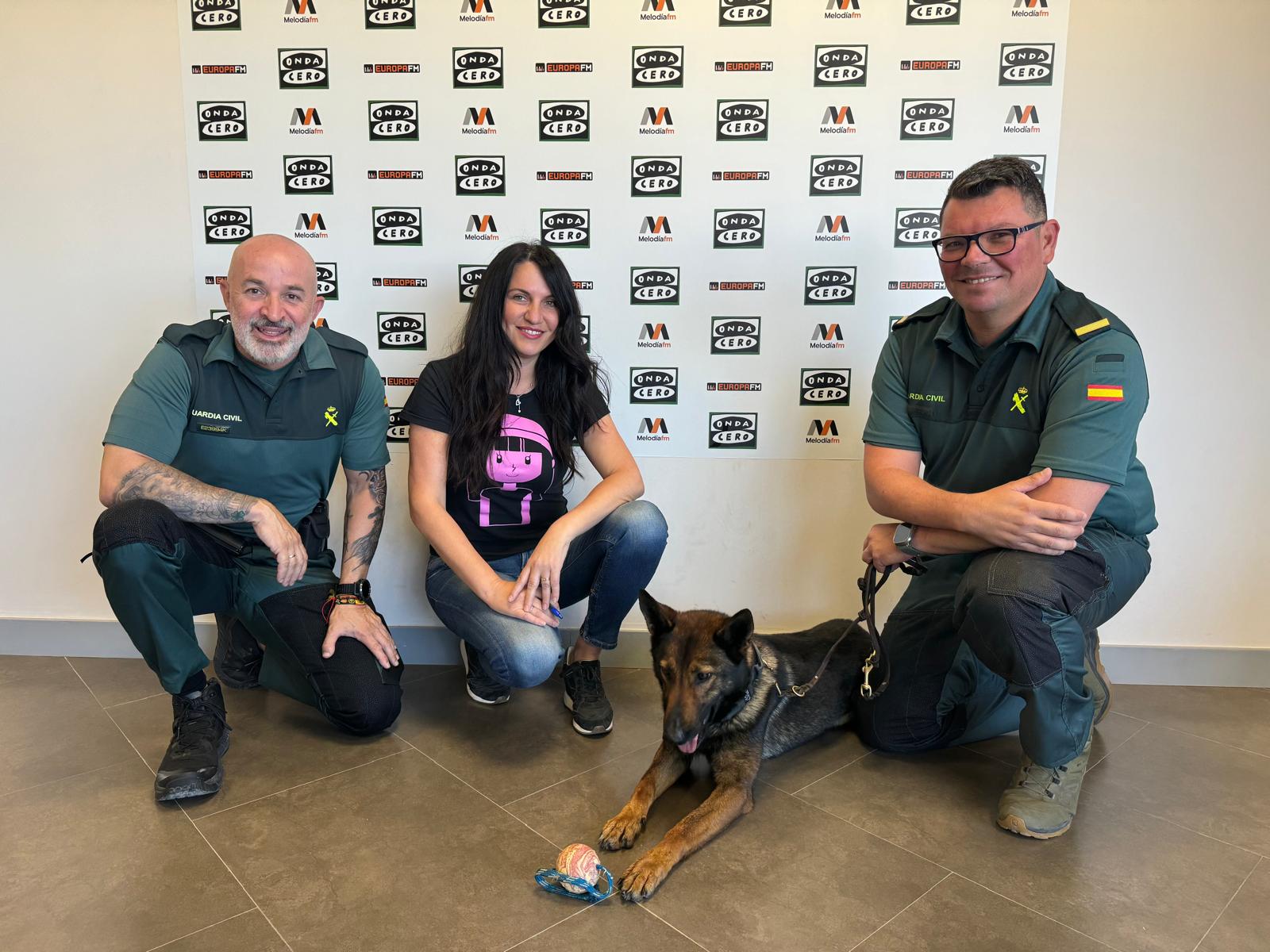 Así trabaja Rita, la perrita de la Guardia Civil de Alicante dedicada a la detección de sustancias estupefacientes Así trabaja Rita, la perrita de la Guardia Civil de Alicante dedicada a la detección de sustancias estupefacientes