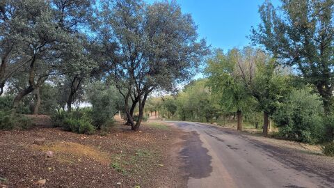 El suceso tuvo lugar en la Sierra de San Isidro, en Miguelturra