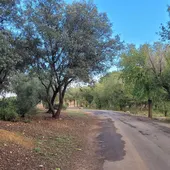 El suceso tuvo lugar en la Sierra de San Isidro, en Miguelturra El suceso tuvo lugar en la Sierra de San Isidro, en Miguelturra