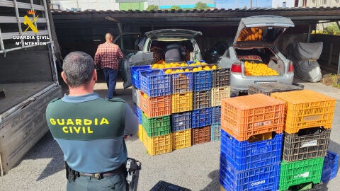 Uno de los momentos del operativo de la Guardia Civil por el robo de naranjas en varias comarcas valencianas