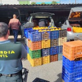 Uno de los momentos del operativo de la Guardia Civil por el robo de naranjas en varias comarcas valencianas