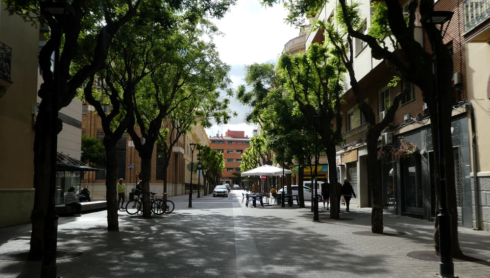 Árboles, bicicletas y terrazas en una calle peatonal de Albacete 