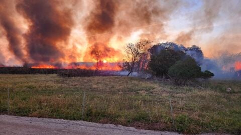 Incendio forestal en S&#39;Albufera de Mallorca