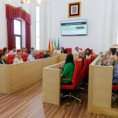 Salón de Plenos Ayuntamiento de Mérida