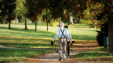 personas mayores en un parque