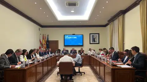Pleno de la Diputación de Teruel PLENO DPT