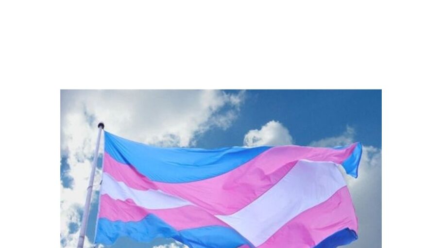 BANDERA TRANS