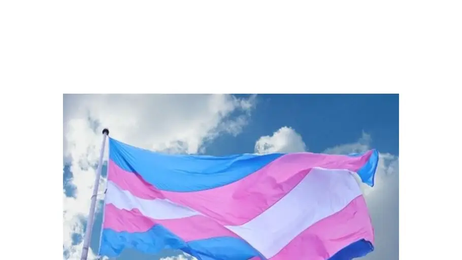 BANDERA TRANS BANDERA TRANS