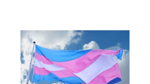 BANDERA TRANS