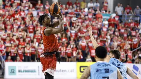 basket basket