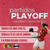 El Naturpellet Segosala debuta este fin de semana en un play-off de ascenso a Primera División