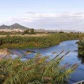 El riu Llobregat, al seu pas per Sant Joan Despí