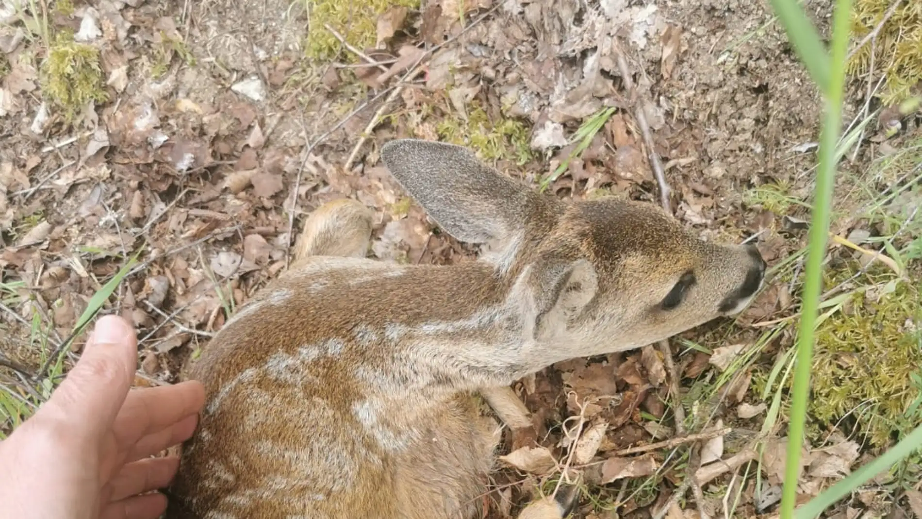 onda cero onda cero