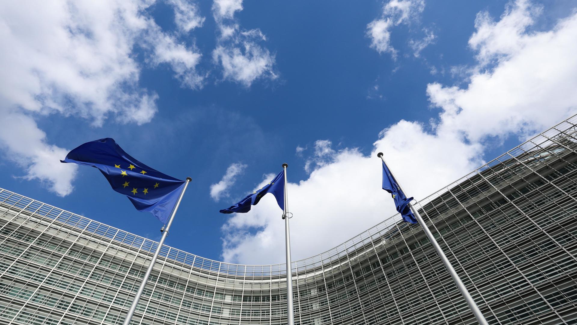 Quiénes son el Partido Pirata Europeo de las elecciones europeas Quiénes son el Partido Pirata Europeo de las elecciones europeas