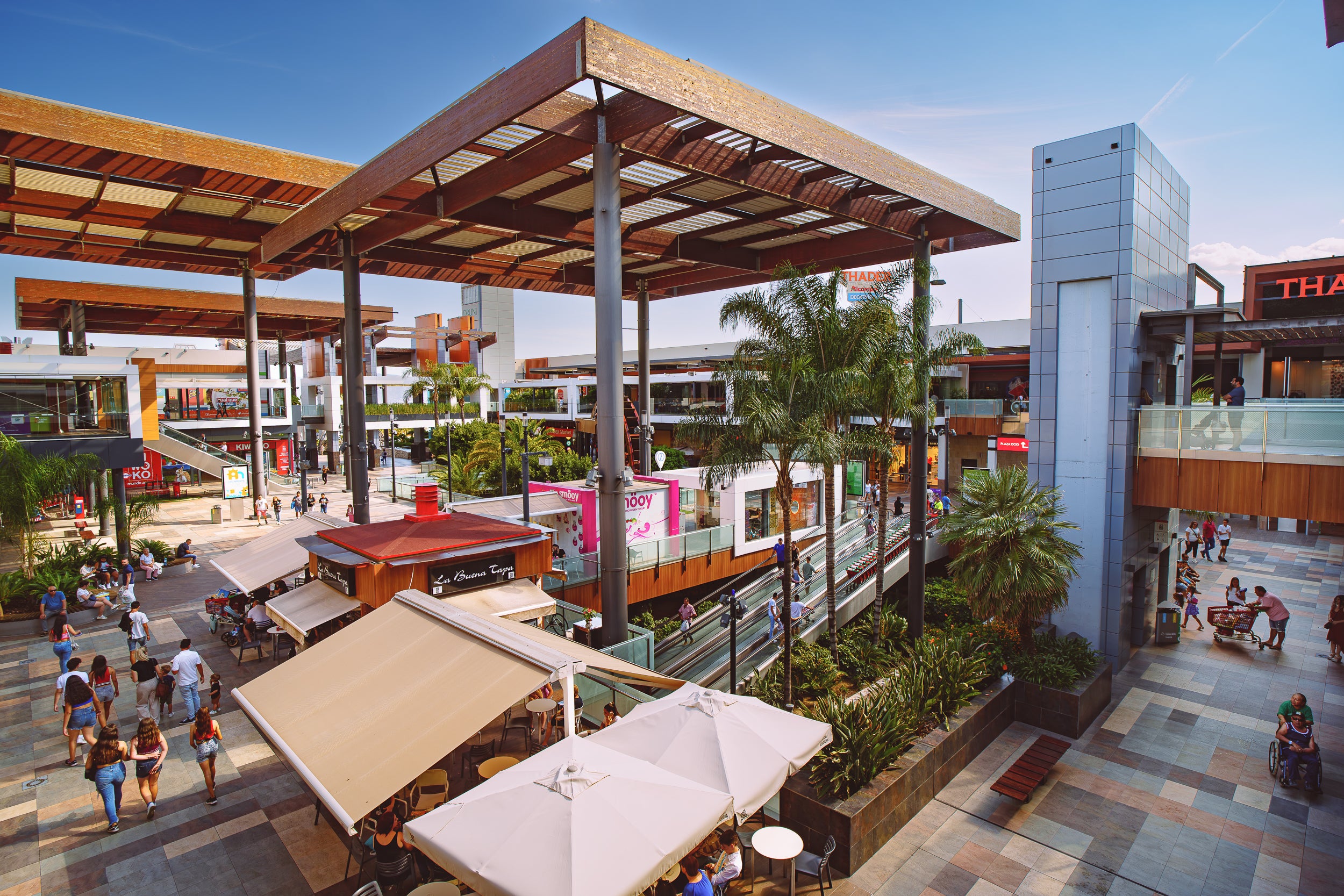 Thader anuncia la próxima apertura de un nuevo centro deportivo Areafit Thader anuncia la próxima apertura de un nuevo centro deportivo Areafit