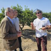 Conseller de agricultura en un campo de Castelló