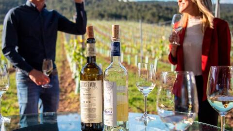 Enoturismo por las bodegas del Grupo Terras Gauda