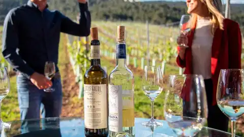 Enoturismo por las bodegas del Grupo Terras Gauda Gente Viajera de Galicia