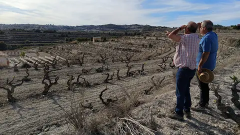 AVA pide la implicación de los ayuntamientos para reclamar ayudas por la sequía AVA pide la implicación de los ayuntamientos para reclamar ayudas por la sequía