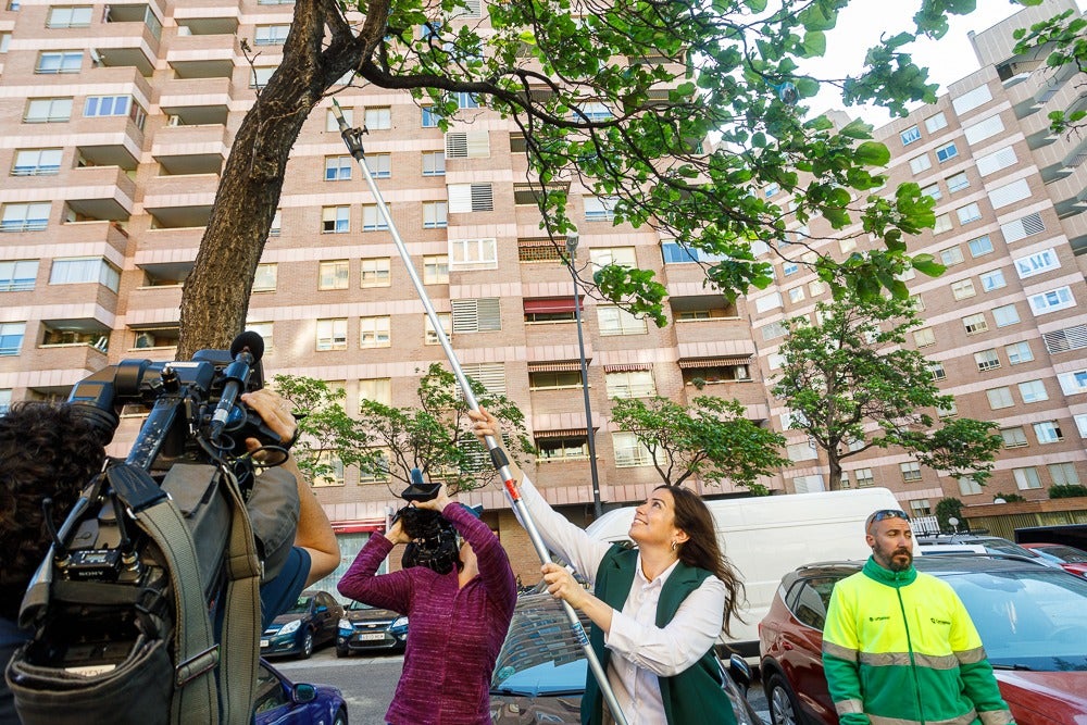 Zaragoza libera 145.000 insectos beneficiosos para combatir plagas Zaragoza libera 145.000 insectos beneficiosos para combatir plagas
