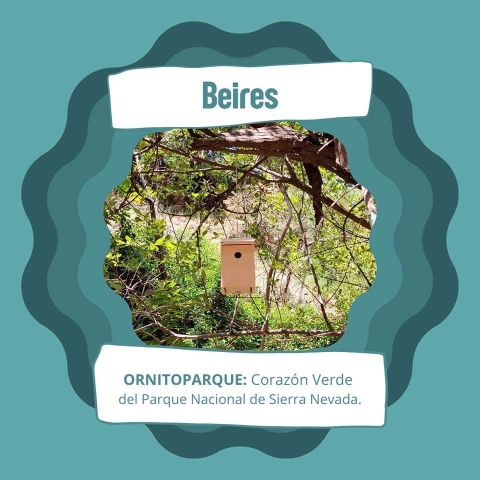 Beires cuenta con el primer Ornitoparque Beires cuenta con el primer Ornitoparque