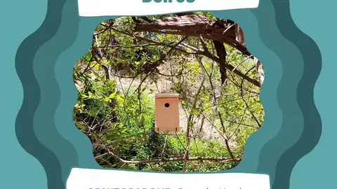 beires-ornitoparque beires-ornitoparque