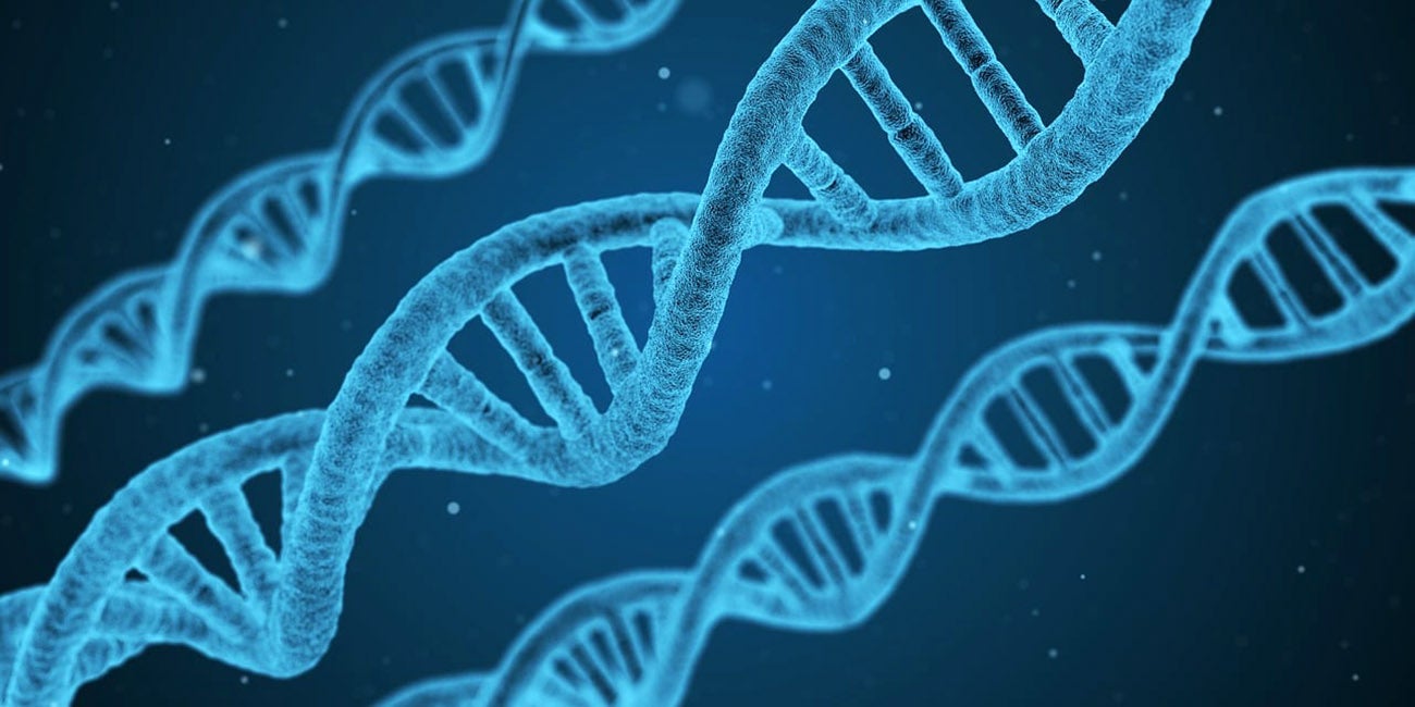 Genes Vs. Células