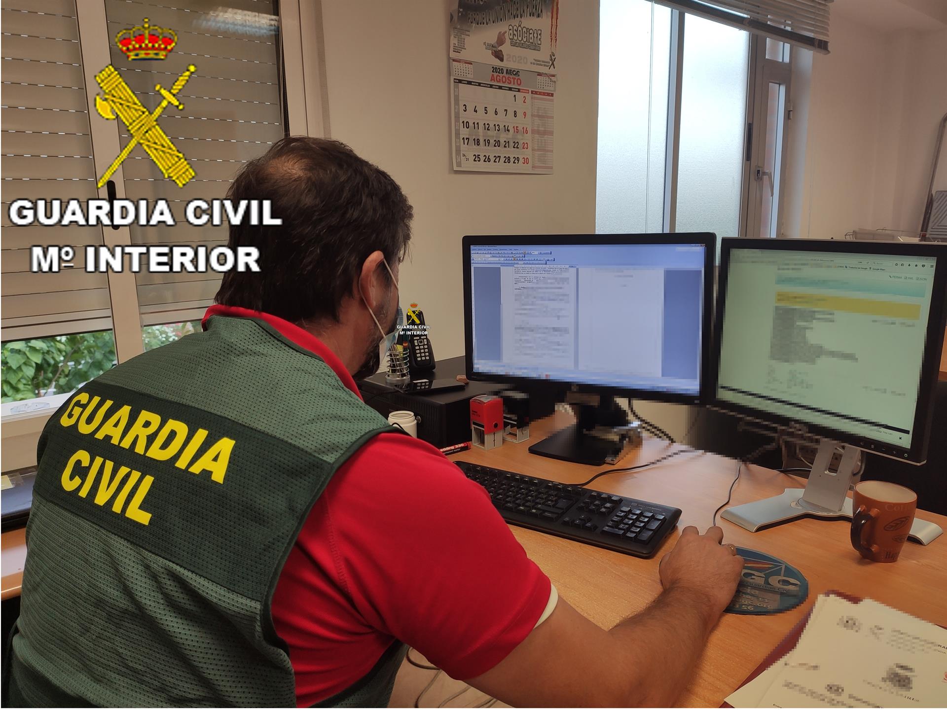 Investigan a un hombre por abandonar hasta dejar morir a tres perros en Aielo de Malferit (Valencia) Investigan a un hombre por abandonar hasta dejar morir a tres perros en Aielo de Malferit (Valencia)
