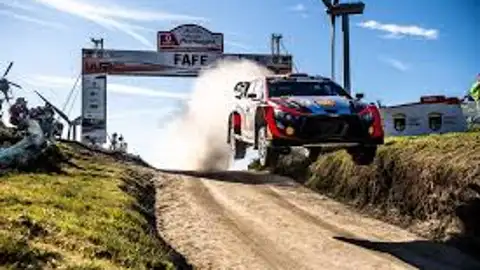 Rally Rally