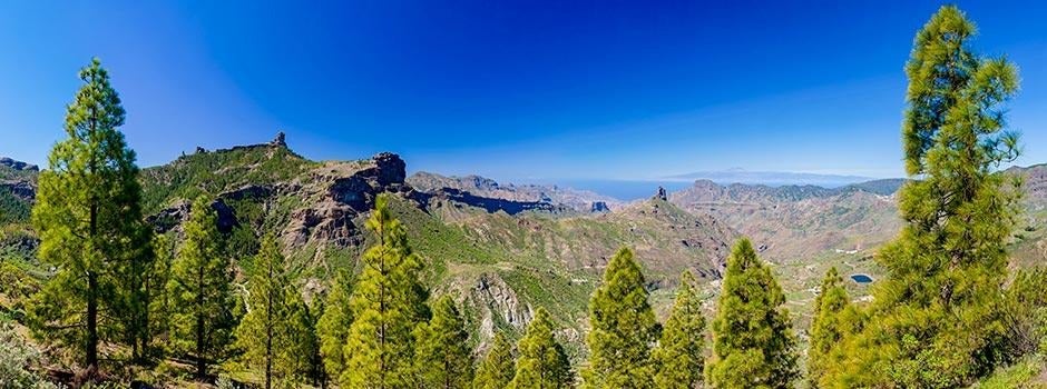 Más de Uno Canarias 'Especial Día Mundial del Medio Ambiente' | Miércoles 05 de Junio de 2024 Más de Uno Canarias 'Especial Día Mundial del Medio Ambiente' | Miércoles 05 de Junio de 2024