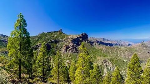 Celebramos el Día Mundial del Medio ambiente con un programa muy especial sobre el cambio climático en Canarias Celebramos el Día Mundial del Medio ambiente con un programa muy especial sobre el cambio climático en Canarias