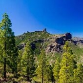 Celebramos el Día Mundial del Medio ambiente con un programa muy especial sobre el cambio climático en Canarias 