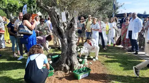 Celebración de un acto homenaje con motivo del Día Nacional del Donante Celebración de un acto homenaje con motivo del Día Nacional del Donante