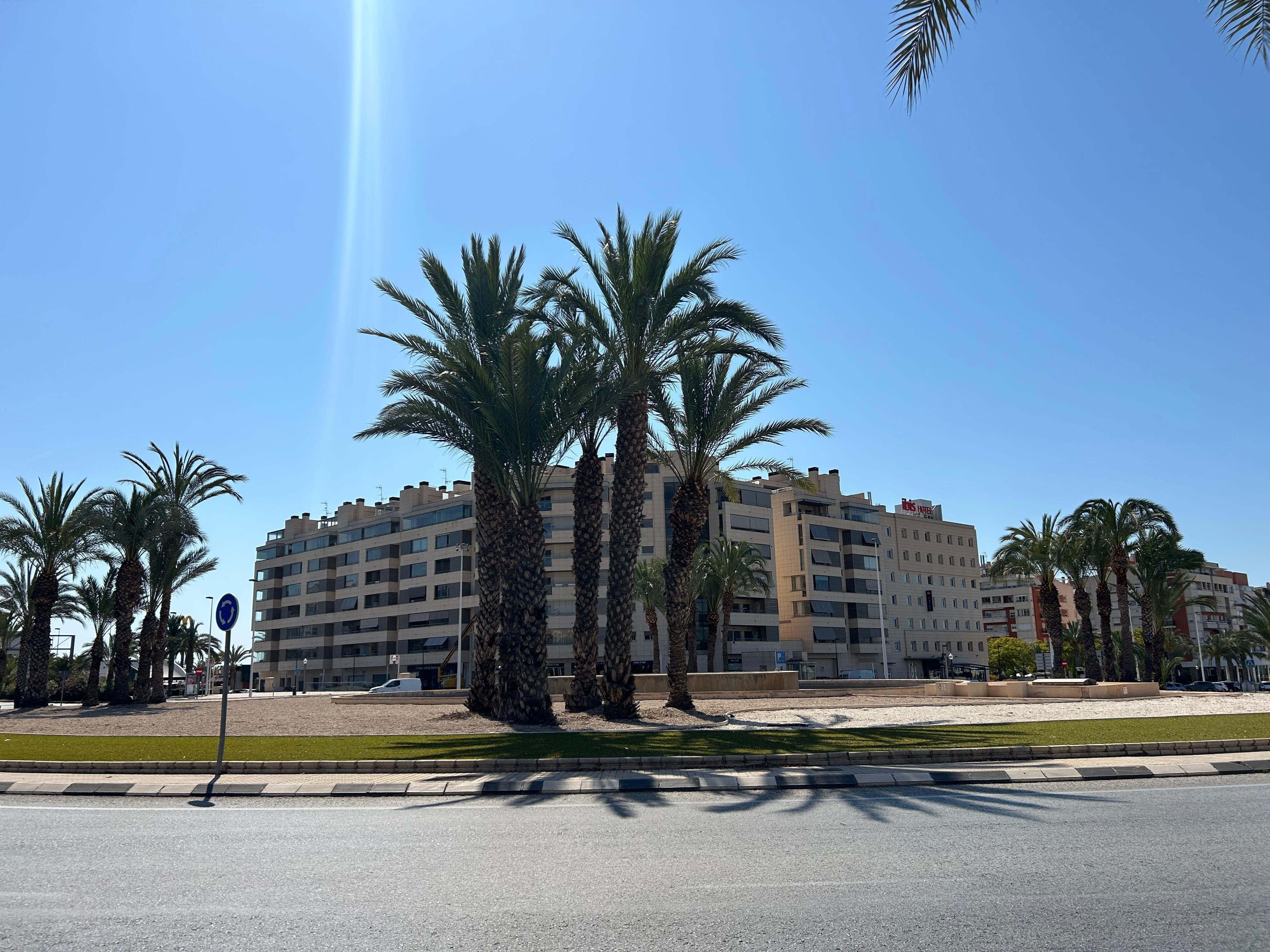 Elche inicia la contratación de la reparación de la fuente de la rotonda de la avenida de Alicante Elche inicia la contratación de la reparación de la fuente de la rotonda de la avenida de Alicante