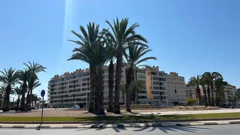 Elche. Elche.