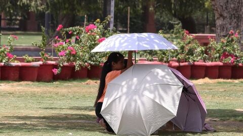 "La Tierra encadena 12 meses con récord de calor" "La Tierra encadena 12 meses con récord de calor"