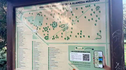 Bosques urbanos Laredo Bosques urbanos Laredo