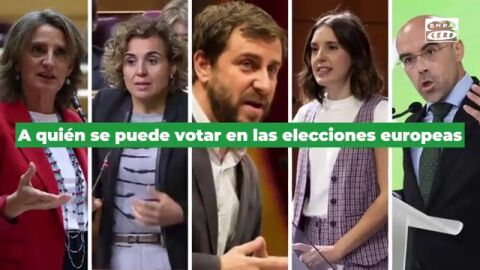 A qui&eacute;n se puede votar en las elecciones europeas: estas son todas las candidaturas en Espa&ntilde;a