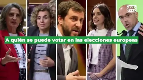 A quién se puede votar en las elecciones europeas: estas son todas las candidaturas en España A quién se puede votar en las elecciones europeas: estas son todas las candidaturas en España