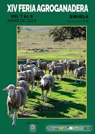 La Feria Agroganadera de Siruela acerca las prácticas del oficio a través de actividades como exhibiciones de esquila La Feria Agroganadera de Siruela acerca las prácticas del oficio a través de actividades como exhibiciones de esquila