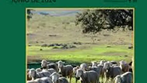 La Feria Agroganadera de Siruela acerca las prácticas del oficio a través de actividades como exhibiciones de esquila La Feria Agroganadera de Siruela acerca las prácticas del oficio a través de actividades como exhibiciones de esquila