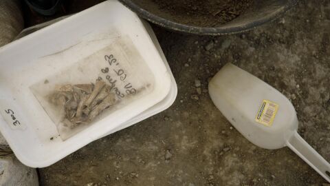 Excavaci&oacute;n de la fosa com&uacute;n. A 04 de mayo de 2023, en V&iacute;znar, Granada (Andaluc&iacute;a, Espa&ntilde;a). Inicio de la tercera campa&ntilde;a de exhumaciones de v&iacute;ctimas del franquismo en el barranco de V&iacute;znar. El equipo interdisciplinar liderado por la Universidad 