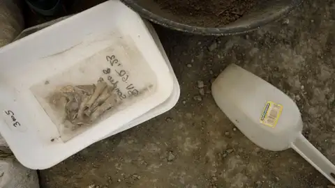 Excavación de la fosa común. A 04 de mayo de 2023, en Víznar, Granada (Andalucía, España). Inicio de la tercera campaña de exhumaciones de víctimas del franquismo en el barranco de Víznar. El equipo interdisciplinar liderado por la Universidad Excavación de la fosa común. A 04 de mayo de 2023, en Víznar, Granada (Andalucía, España). Inicio de la tercera campaña de exhumaciones de víctimas del franquismo en el barranco de Víznar. El equipo interdisciplinar liderado por la Universidad