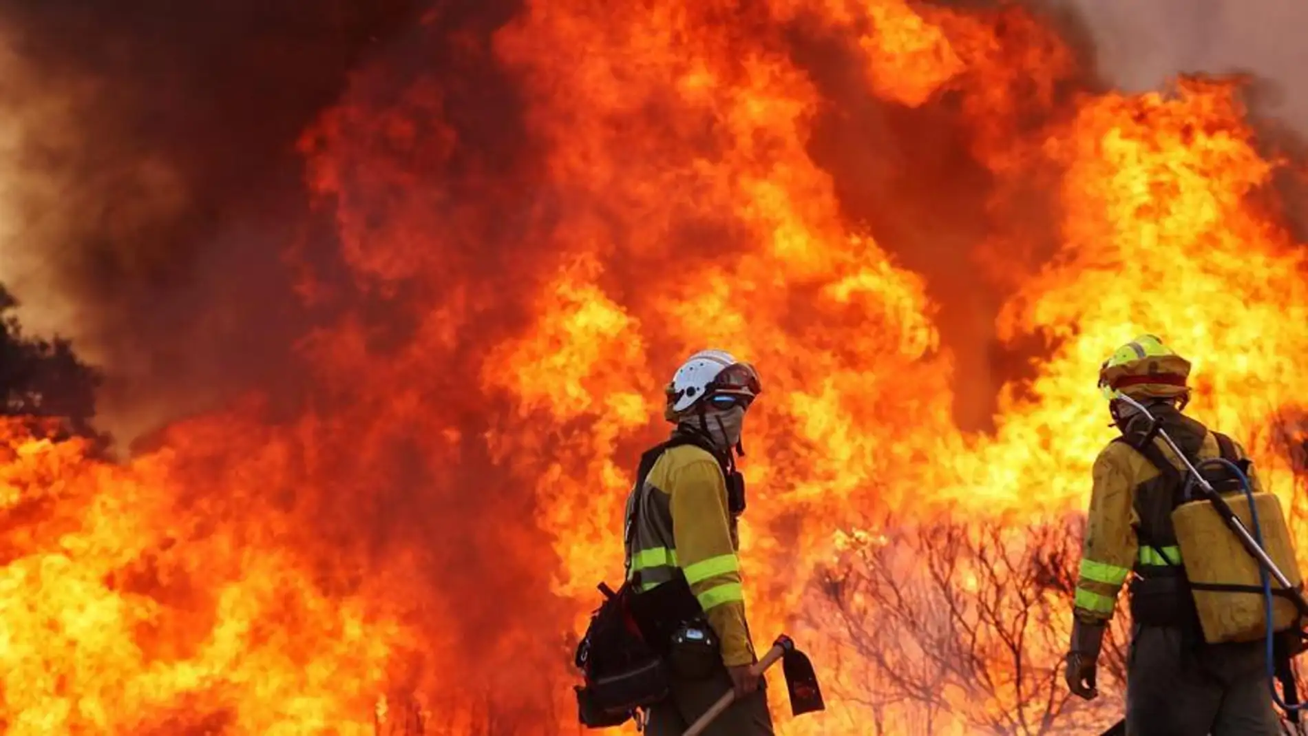 Castilla y León declara este viernes el peligro medio de incendios que a partir del 12 de junio será alto | Onda Cero Radio