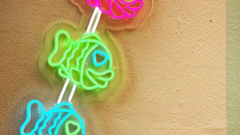 Los taiyakis de La Pecera vuelven a M&aacute;laga 